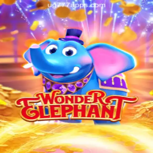 WonderElephant: A New Journey in Online Gaming